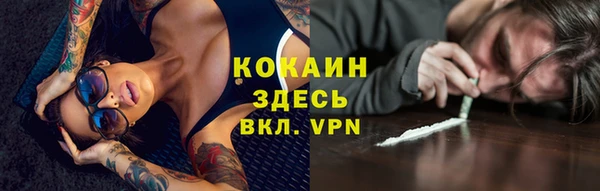 дживик Осинники
