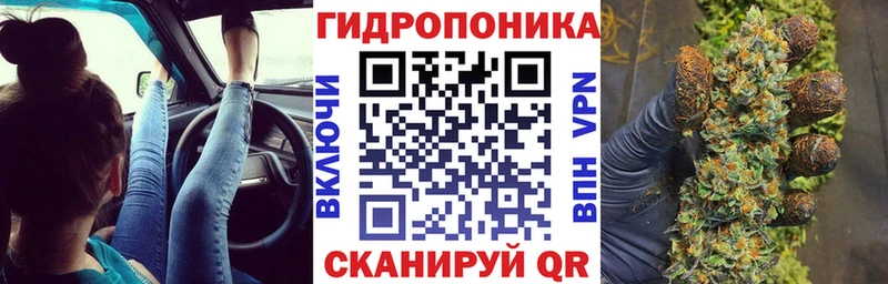 Каннабис план  OMG онион  Могоча  наркотики 